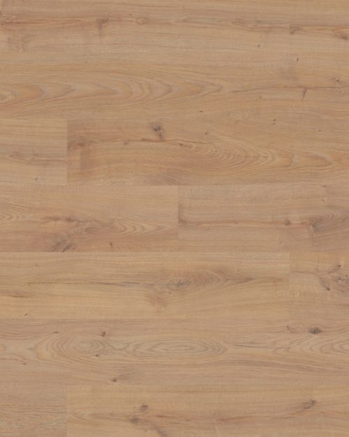 5945 Baronial Oak, Planked (NL)