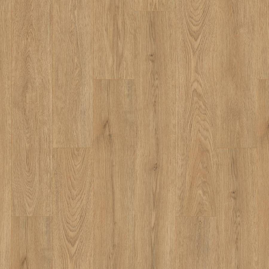 K638 Wheat Cornforth Oak
