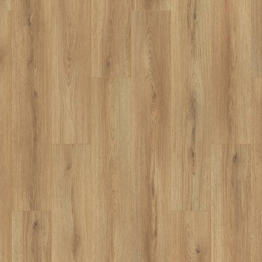 K654 Sand Cantal Oak