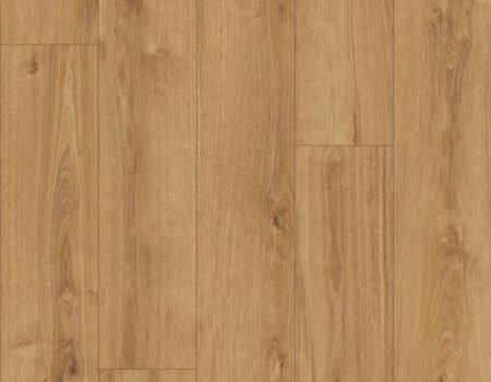 K794 Old Camberwick Oak