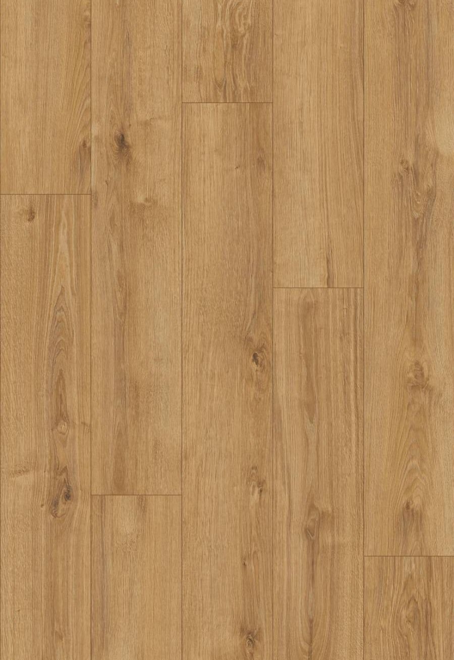 K794 Old Camberwick Oak