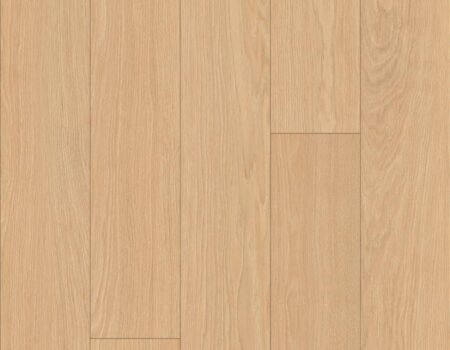 K843 Natural Darcy Oak Plank