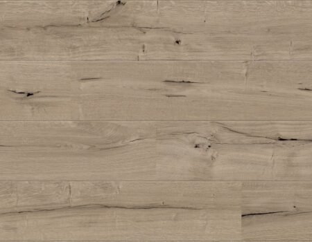 O272 Oak Bristol (LU)