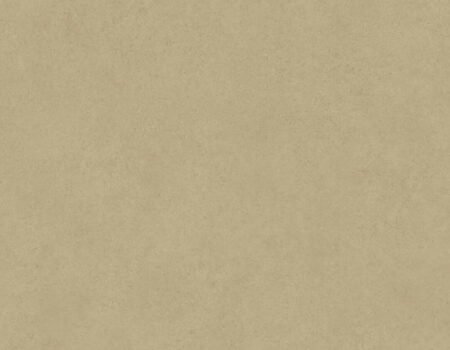 Tarkett Viniline Danga Concrete Ochre