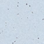 Tarkett Viniline Danga Eclipse Pastel Sky Blue 0079