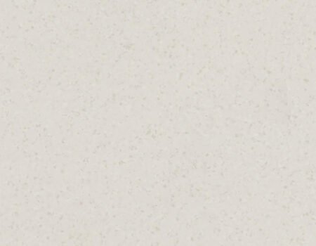 Surface SOLID UPPER SEASHELL